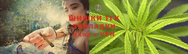 PSILOCYBIN Нязепетровск