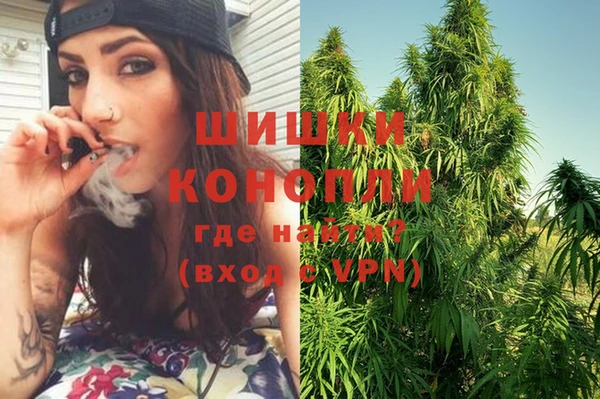 PSILOCYBIN Нязепетровск