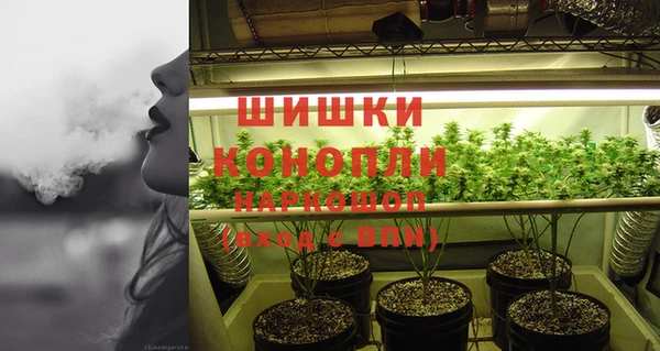 PSILOCYBIN Нязепетровск