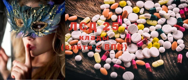 PSILOCYBIN Нязепетровск