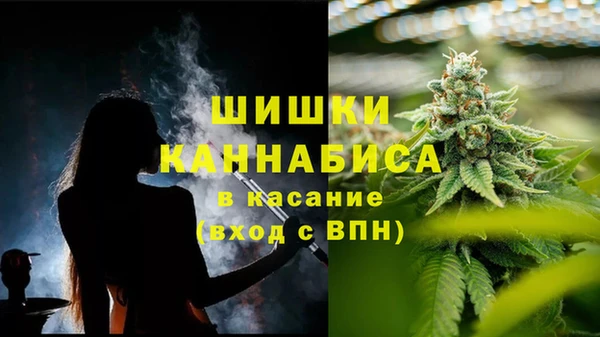 мет Нягань