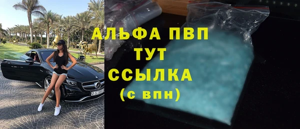 PSILOCYBIN Нязепетровск