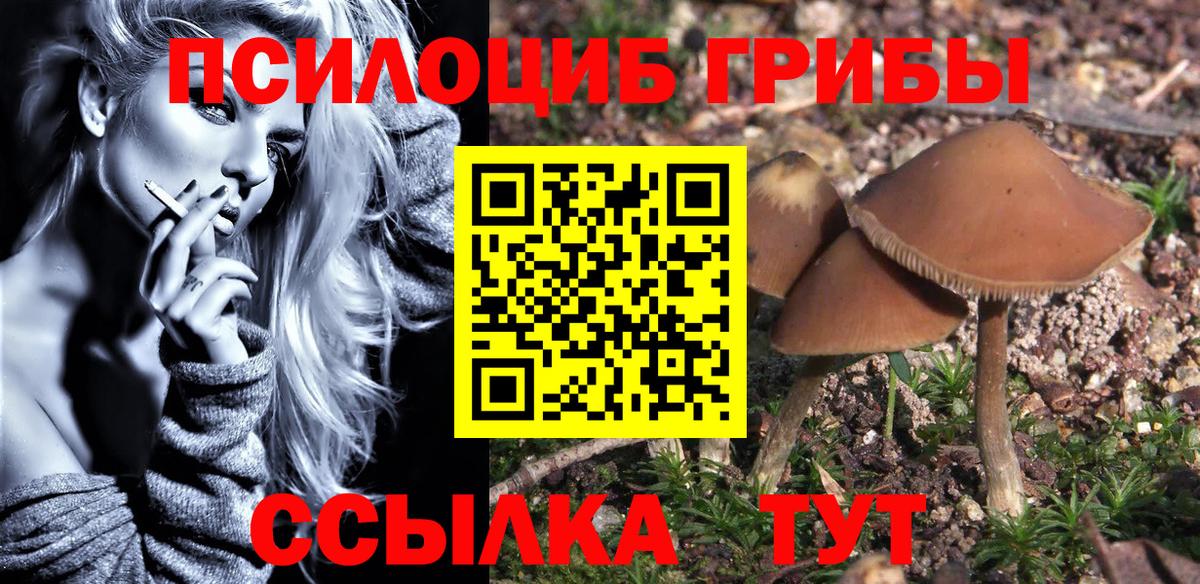 Арсеньев  Псилоцибиновые грибы MAGIC MUSHROOMS  Вход с VPN 