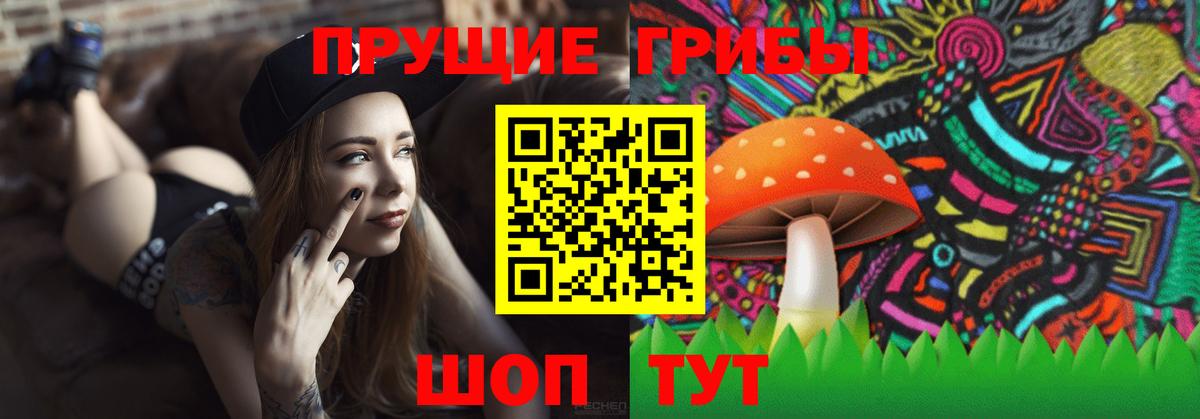 закладки  Псилоцибиновые грибы Psilocybe  Арсеньев  Псилоцибиновые грибы MAGIC MUSHROOMS 